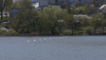 Чемпіонат України серед юнаків та дівчат. Умань-2023